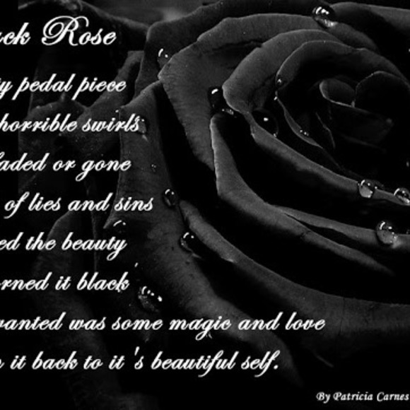 Meet your Posher, Angela - Picture 1 of 1